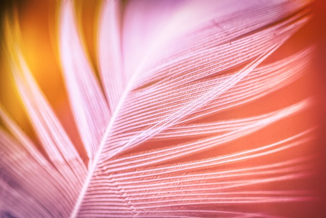 abstract creative workspace blending human artistry with neural network patterns soft academic tones